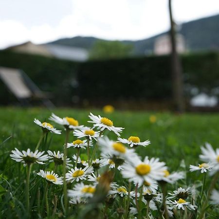 Apartamento Con Jardin En La Cerdanya Err Exteriör bild