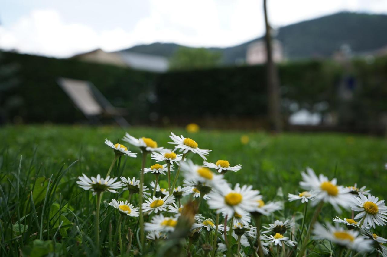 Apartamento Con Jardin En La Cerdanya Err Exteriör bild